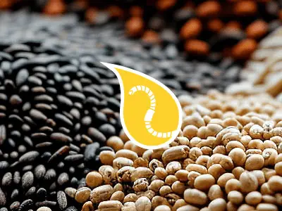 visuel des biostimulants de traitement de semences avec une goutte jaune avec un ver de terre dedans