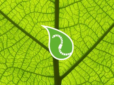 visuel des biostimulants foliaires avec une goutte verte avec un ver de terre dedans