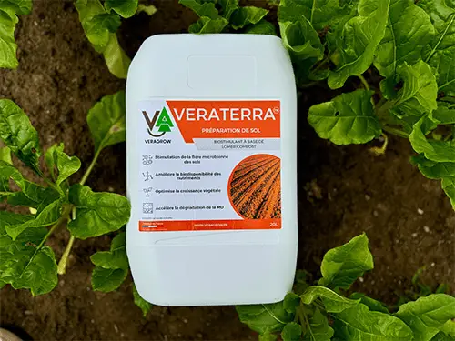 Bidon de biostimulant de préparation de sol dans un champ de betteraves