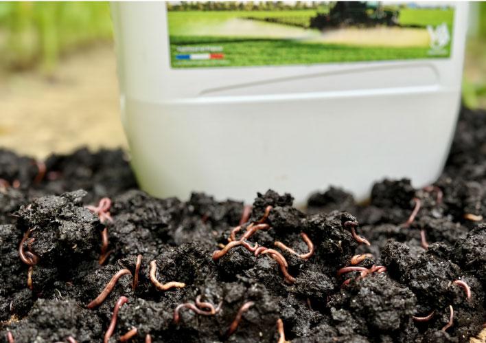 lES LOMBRICS veragrow devant un bidon de biostimulant à base de lombricompost