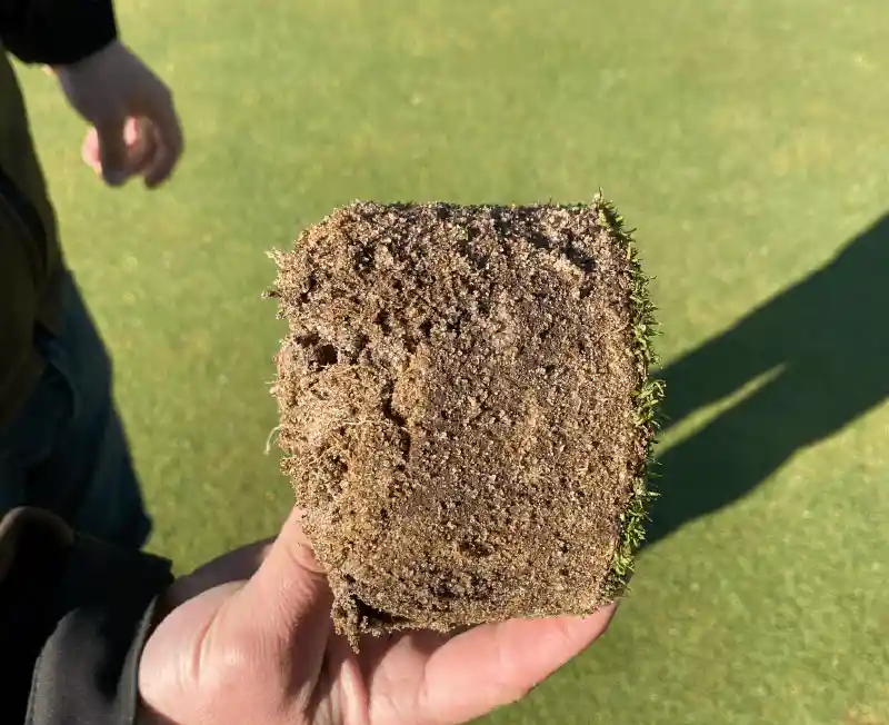 Effet du biostimulant sur le gazon : structure du sol homogène, couche de feutre dégradée et système racinaire actif, idéal pour les greens de golf soumis au stress mécanique.