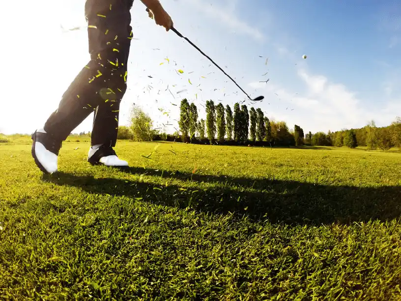 Golfeur en action sur un terrain parfaitement entretenu, mettant en valeur un gazon dense et résilient, idéal pour les parcours de golf professionnels.