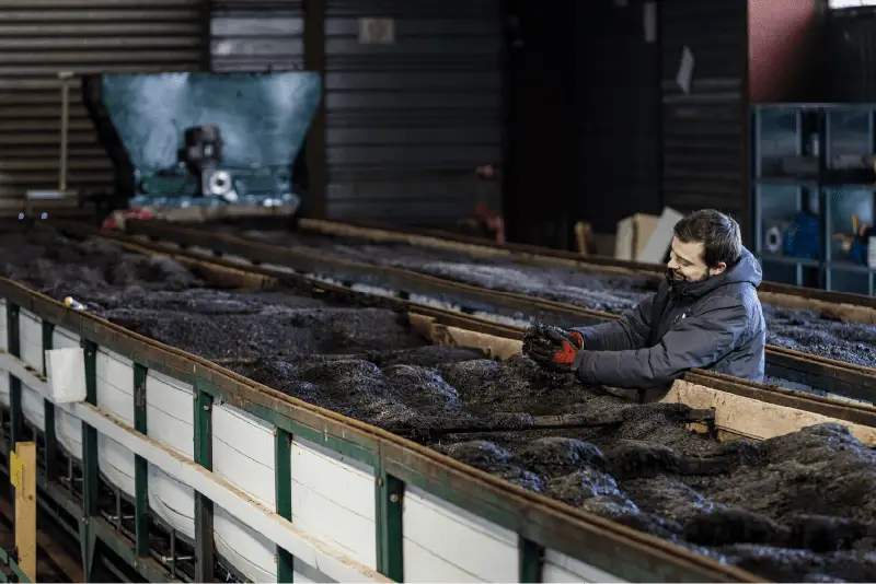 Un agent de production de Veragrow observe les lombrics qui transforment les biodéchets en lombricompost.